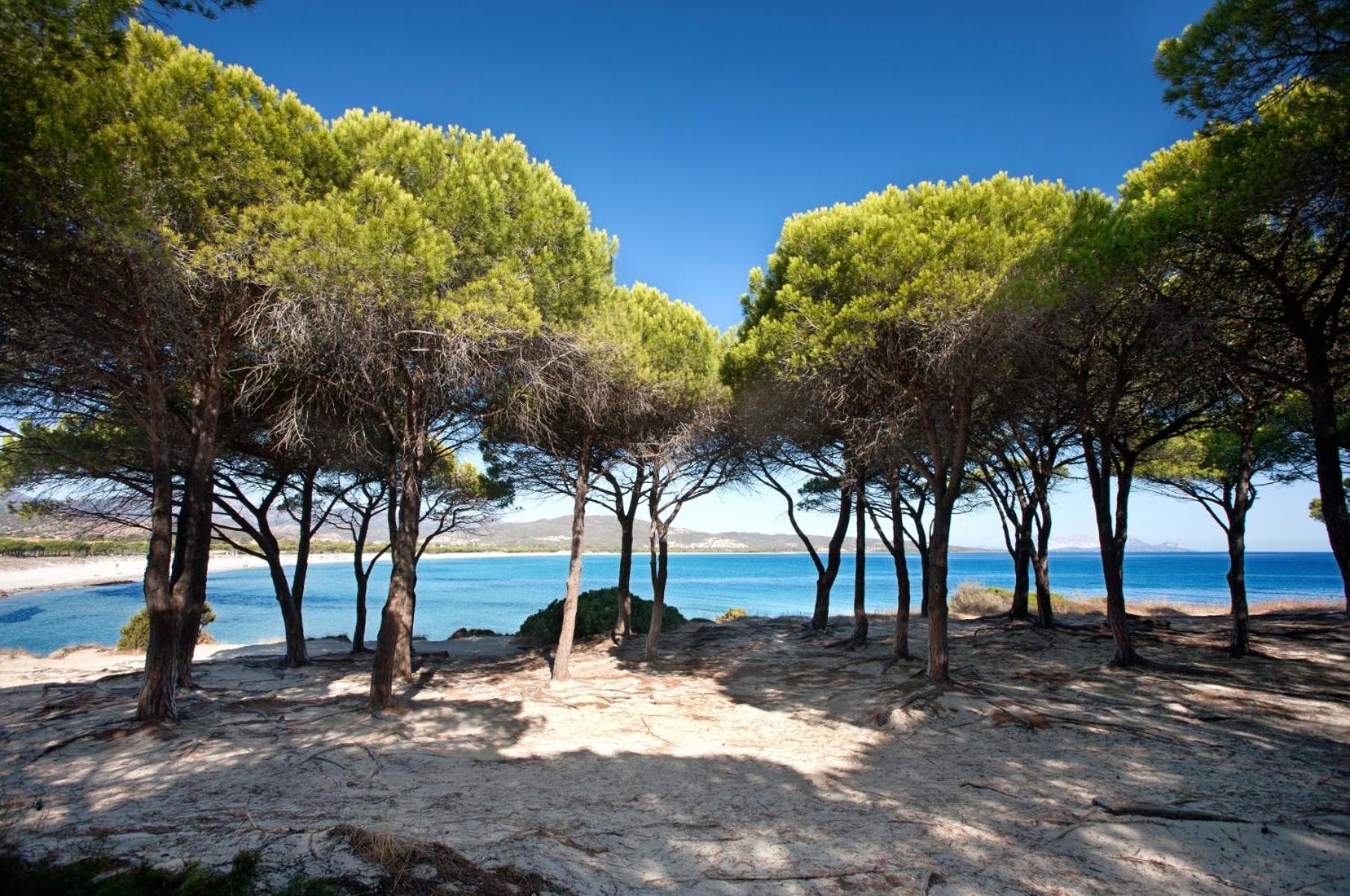Villetta 1.2 Km Dalla Spiaggia Budoniaffitti Tanaunella Luaran gambar